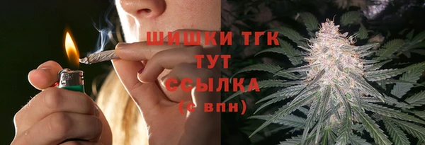 spice Абаза