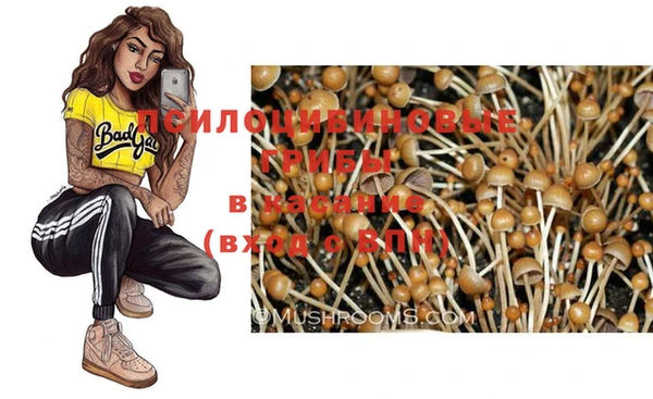 spice Абаза