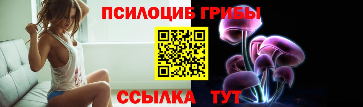 Галлюциногенные грибы прущие грибы  Вход с VPN  Альметьевск 